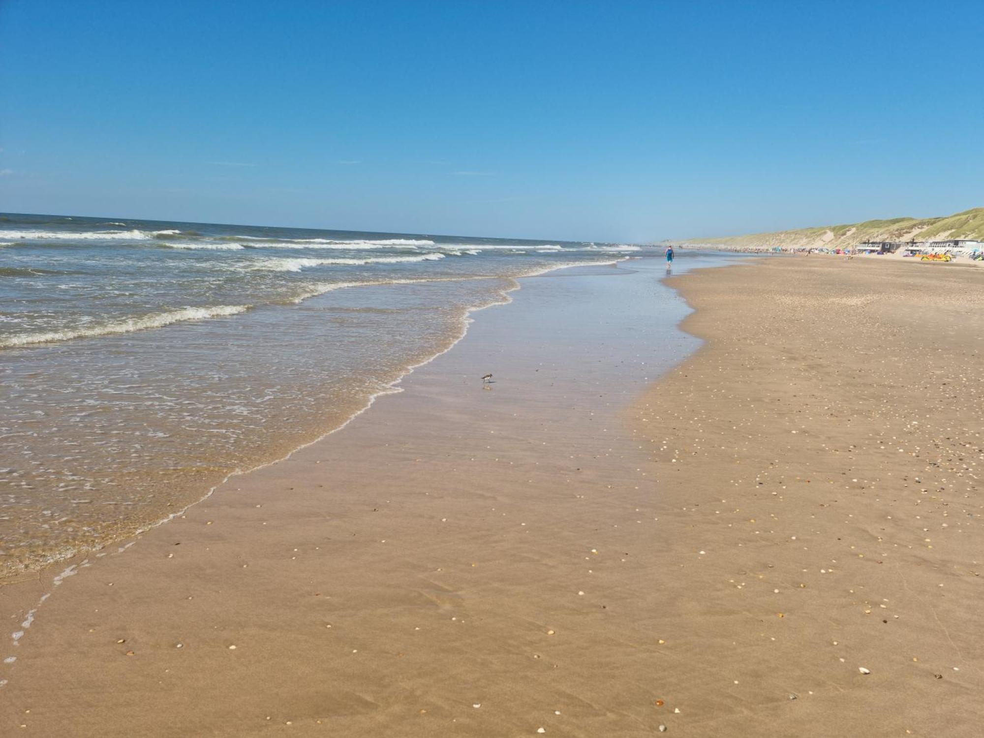 Dw Castricum Hotel Bagian luar foto