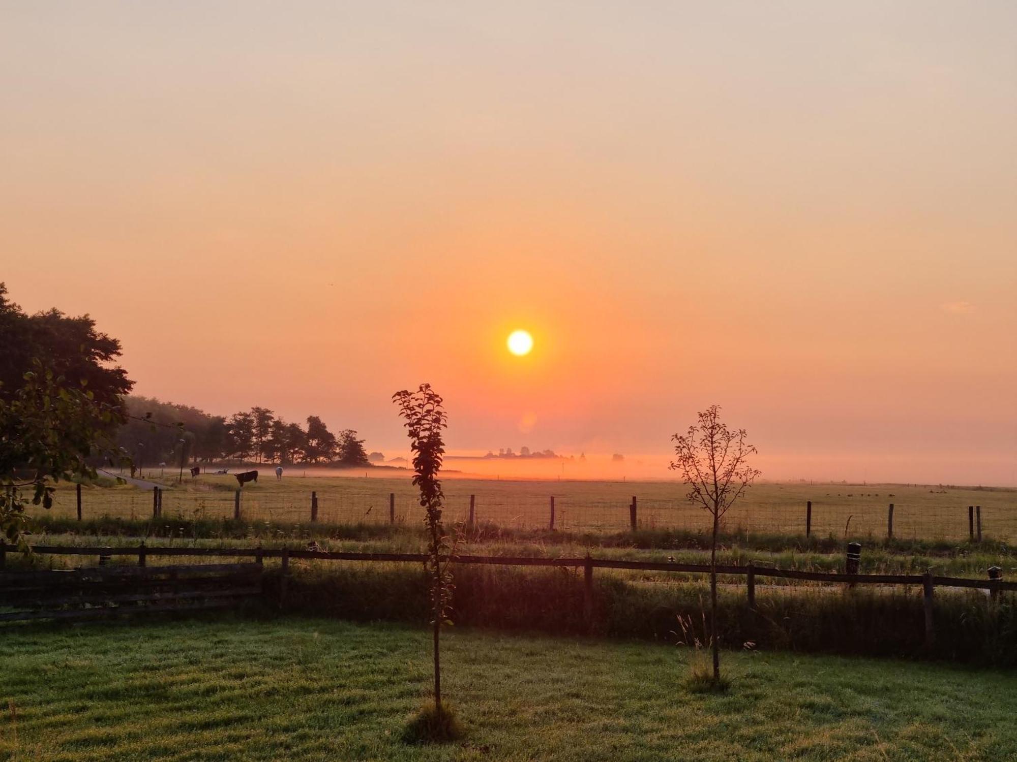 Dw Castricum Hotel Bagian luar foto
